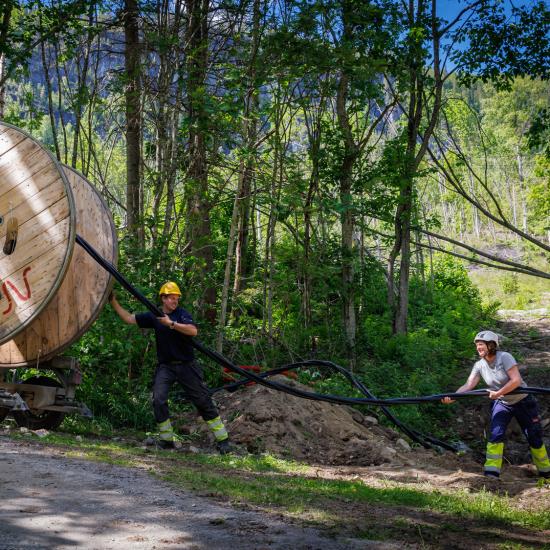 Samler kreftene i felles fibersatsing