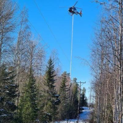 Skogrydding langs høyspentlinjer