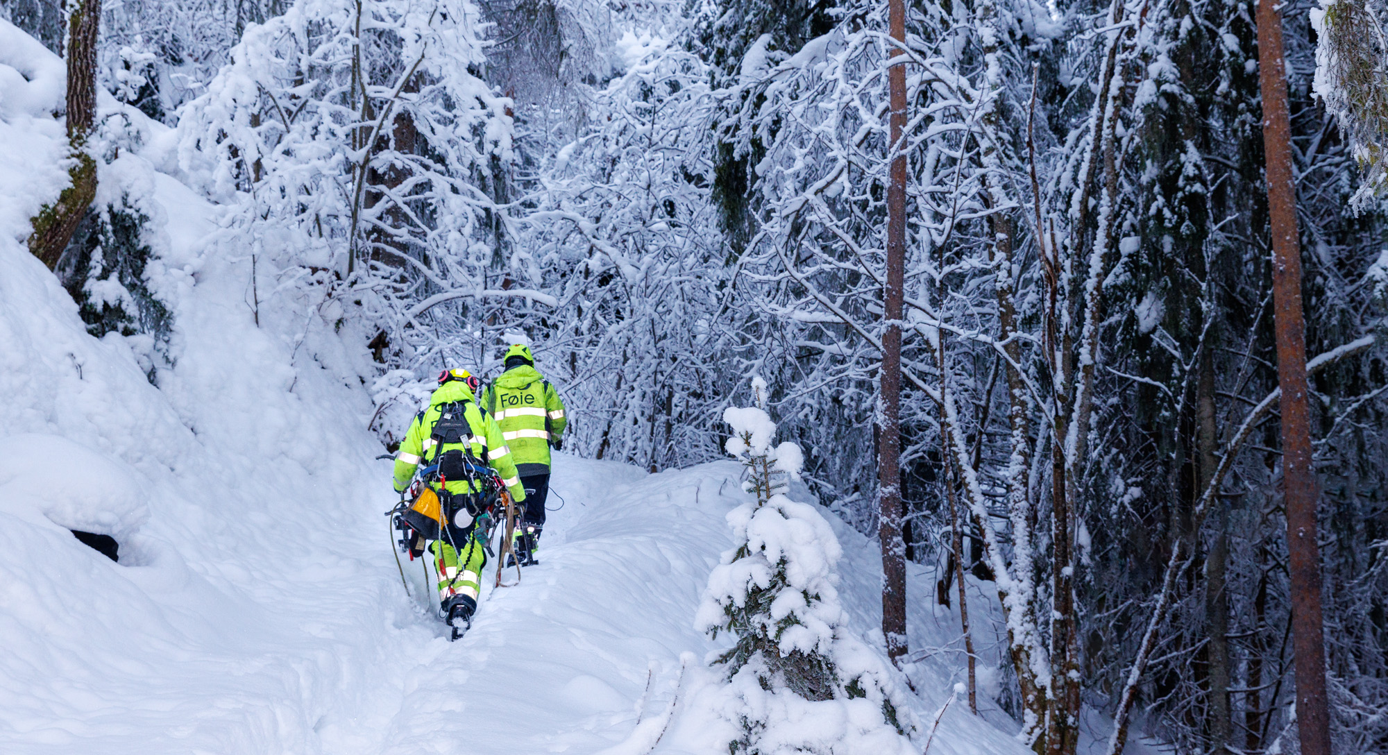 Energimontører i vinterskog